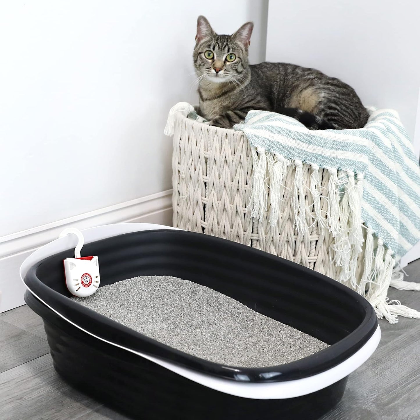 Arm & Hammer Cat Litter Pan Purrifying Pak, Removeable 30 Day Litter Box Deodorizer, 6-Pack