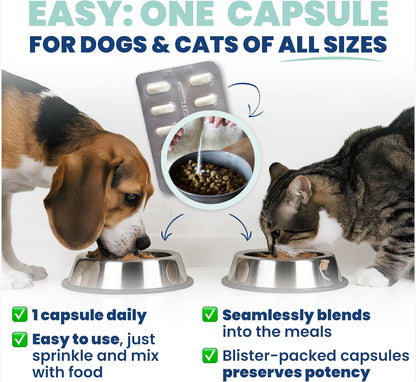 Jope Synbiotic GB-01® - Prebiotics and Probiotics for Dogs & Cats - Clinically Proven Formula - Vet Formulated for Gut Health, Stool Quality, Diarrhea, Immunity, Skin & Coat - 30 Gut Powder Capsules