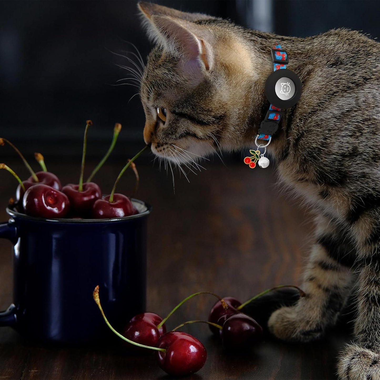 Airtag Cat Collar Breakaway with Bells & Fruit Pendants,Safety Kitten Collar with Apple Air Tag Holder for Girl Boy Cats,Pet Accessories,Gifts(Cherry)