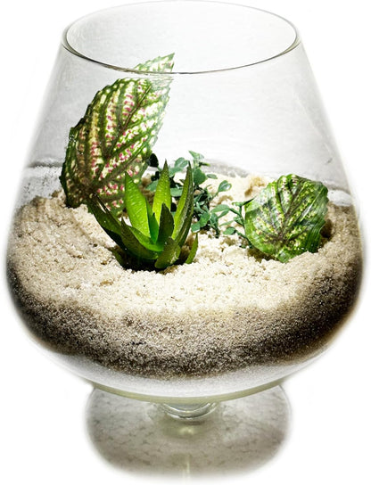 2 Pounds Natural Decorative Real Sand for use in Crafts, Decor, Vase Filler and More | Natural and Non-Toxic, Fun Wet and Dry Indoor and Outdoor, Sandbox, Therapy, and Table Use