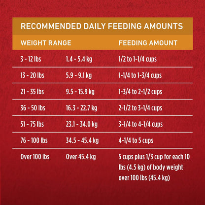 Purina ONE Chicken and Rice Formula Dry Dog Food - 16.5 lb. Bag