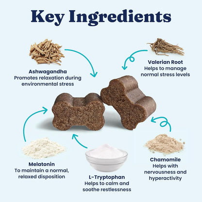 Solid Gold Calming Chews for Dogs - Dog Calming Chews w/Melatonin for Separation, Stress & Hyperactivity Relief - Supports Relaxation for Travel, Fireworks & Storms - All Ages & Sizes - Bacon 120ct