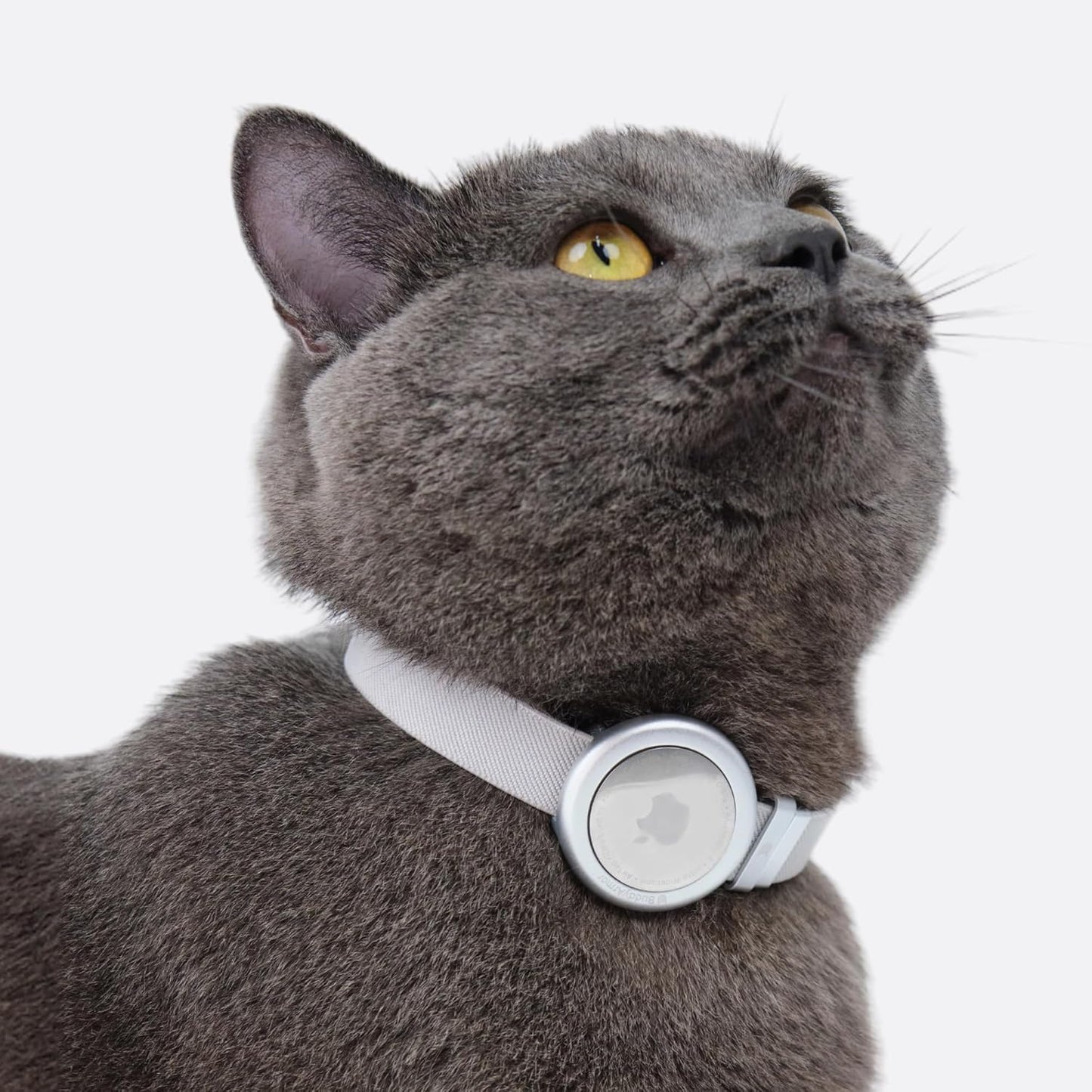 Cat Airtag Collar, US IDA Gold Award Cat Safety Collar Non Breakaway Elastic Airtag Collar Lightweight Airtag Holder Anodized Aluminium Case for Kitten Small to Large Cats,S(Gold Champagne)