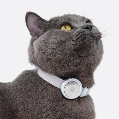 Cat Airtag Collar, US IDA Gold Award Cat Safety Collar Non Breakaway Elastic Airtag Collar Lightweight Airtag Holder Anodized Aluminium Case for Kitten Small to Large Cats,S(Gold Champagne)