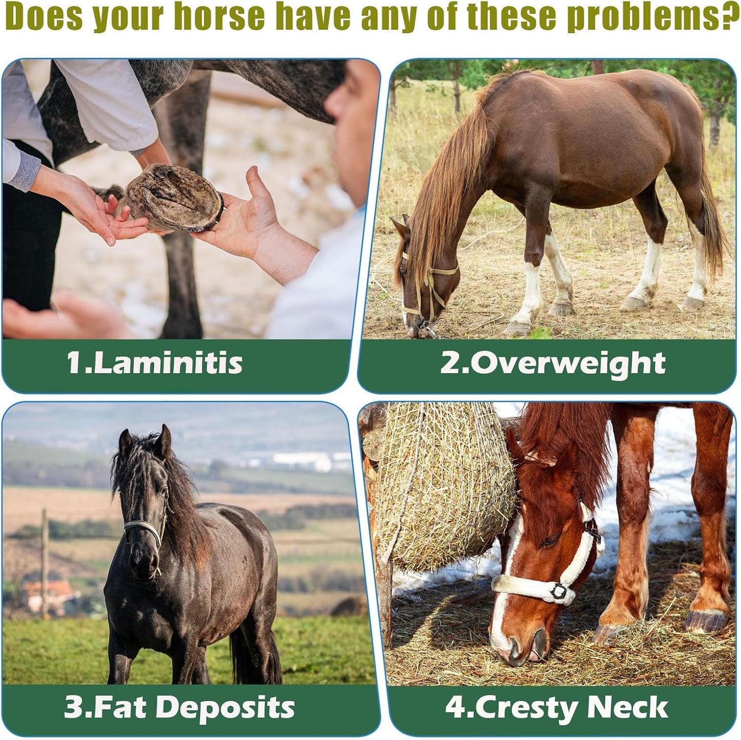 Insulin Resistance Supplement for Horses - Horse Laminitis Treatment-Natural Laminitis Herbal Powder for Sore Feet & Chronic Laminitis, 1.87lb (90-Day Supply)