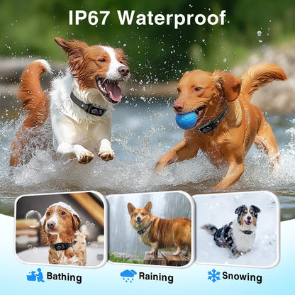 2 Pack Bark Collar, Rechargeable Dog Bark Collar for Large Medium Small Dogs, Smart Training Collar with 5 Adjustable Sensitivity Beep Vibration Harmless Shock, Anti Barking Device for Dogs