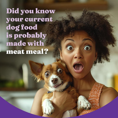 Halo Purely for Pets Holistic Dog Food, Complete Digestive Health Grain Free Cage-Free Chicken and Sweet Potato Recipe, Dry Dog Food Bag, Senior Formula, 10-lb Bag