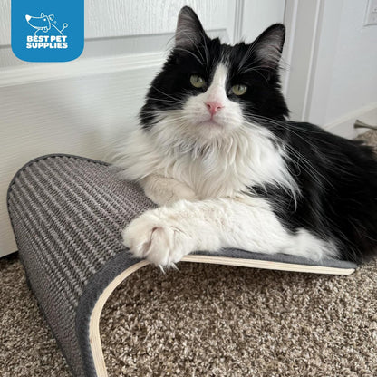 Best Pet Supplies Catify Cat Scratcher, Fun Interactive Scratchers, Posts, Poles, Claw Safe, Furniture Saver Indoor Play Support Natural Cat Behaviors Heavy Duty - Ramp (Gray)