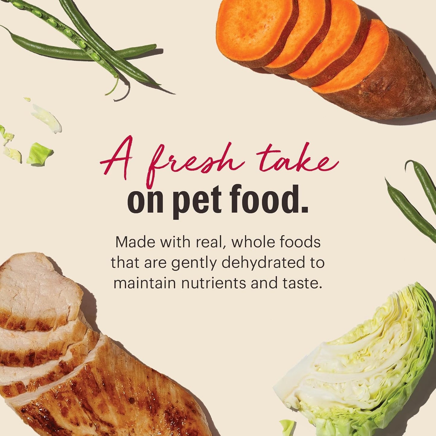 The Honest Kitchen Wholemade™ Dehydrated Grain Free Chicken Dog Food, 4 lb Box