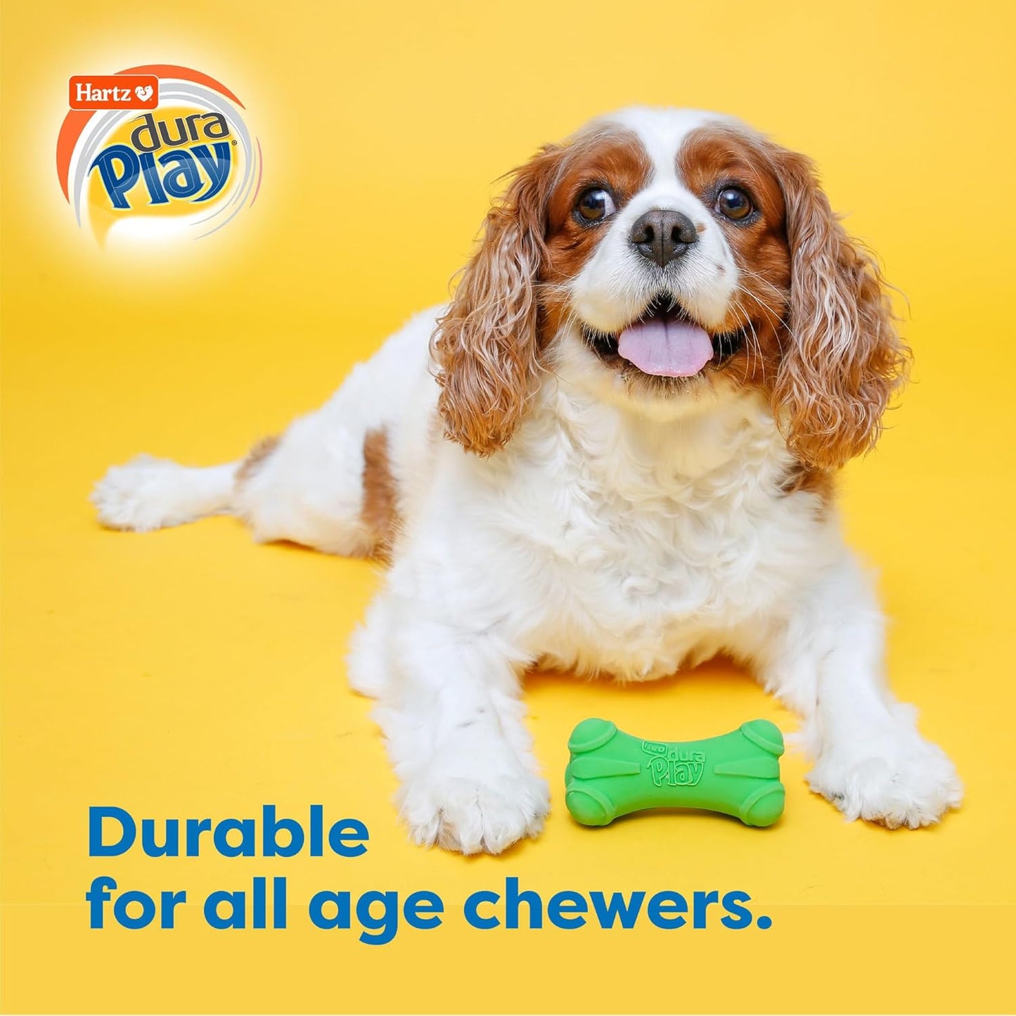 Hartz DuraPlay Bone Squeaky Latex Dog Toy for Medium Breeds, 3 Pack