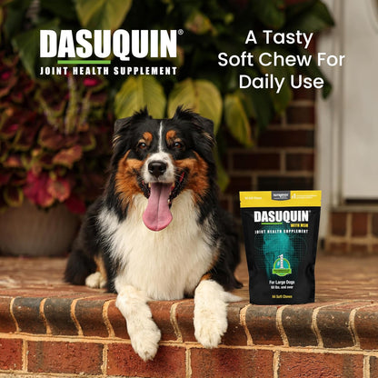 Nutramax Dasuquin for Large Dogs, Joint Health Supplement, Contains Glucosamine for Dogs, Plus Chondroitin, ASU, MSM and More, Supports Healthy Joints, Soft Chews, 84 Count