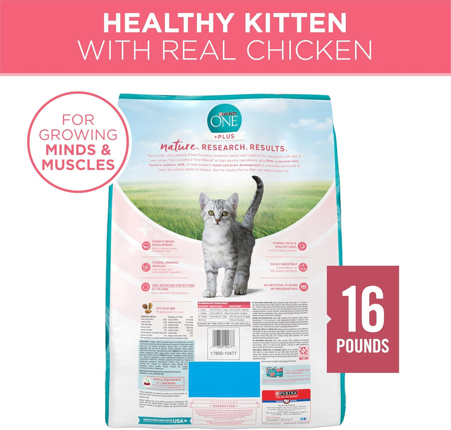 Purina ONE High Protein, Natural Dry Kitten Food, +Plus Healthy Kitten Formula - 16 lb. Bag