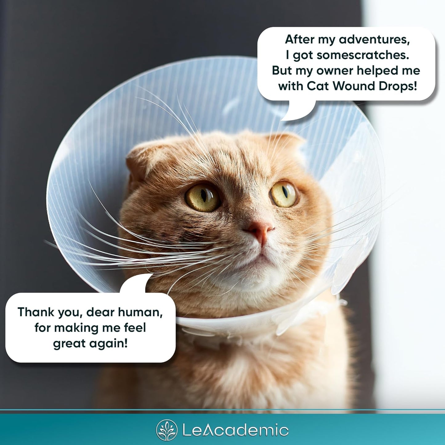 Cat Wound Care in Drops | Cat Cone May Be Beneficial Here | Nano Silver + Chlorhexidine in the Composition to Care the Skin with Bites, Scratches, Redness, Irritation, and Sutures After Surgery | 2 Oz