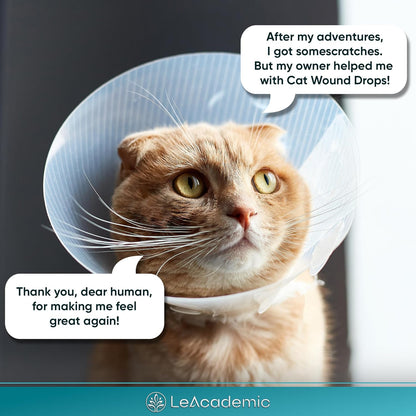 Cat Wound Care in Drops | Cat Cone May Be Beneficial Here | Nano Silver + Chlorhexidine in the Composition to Care the Skin with Bites, Scratches, Redness, Irritation, and Sutures After Surgery | 2 Oz