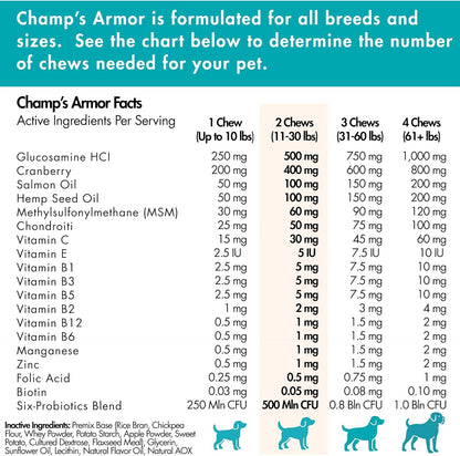 Champ's Armor 10-in-1 Multivitamin Soft Chews for Dogs – Hip & Joint, Skin, Digestion, Immune, Heart, and Brain Health. Complete Daily Support w/Glucosamine, Salmon Oil, Probiotics & More – 120 Ct