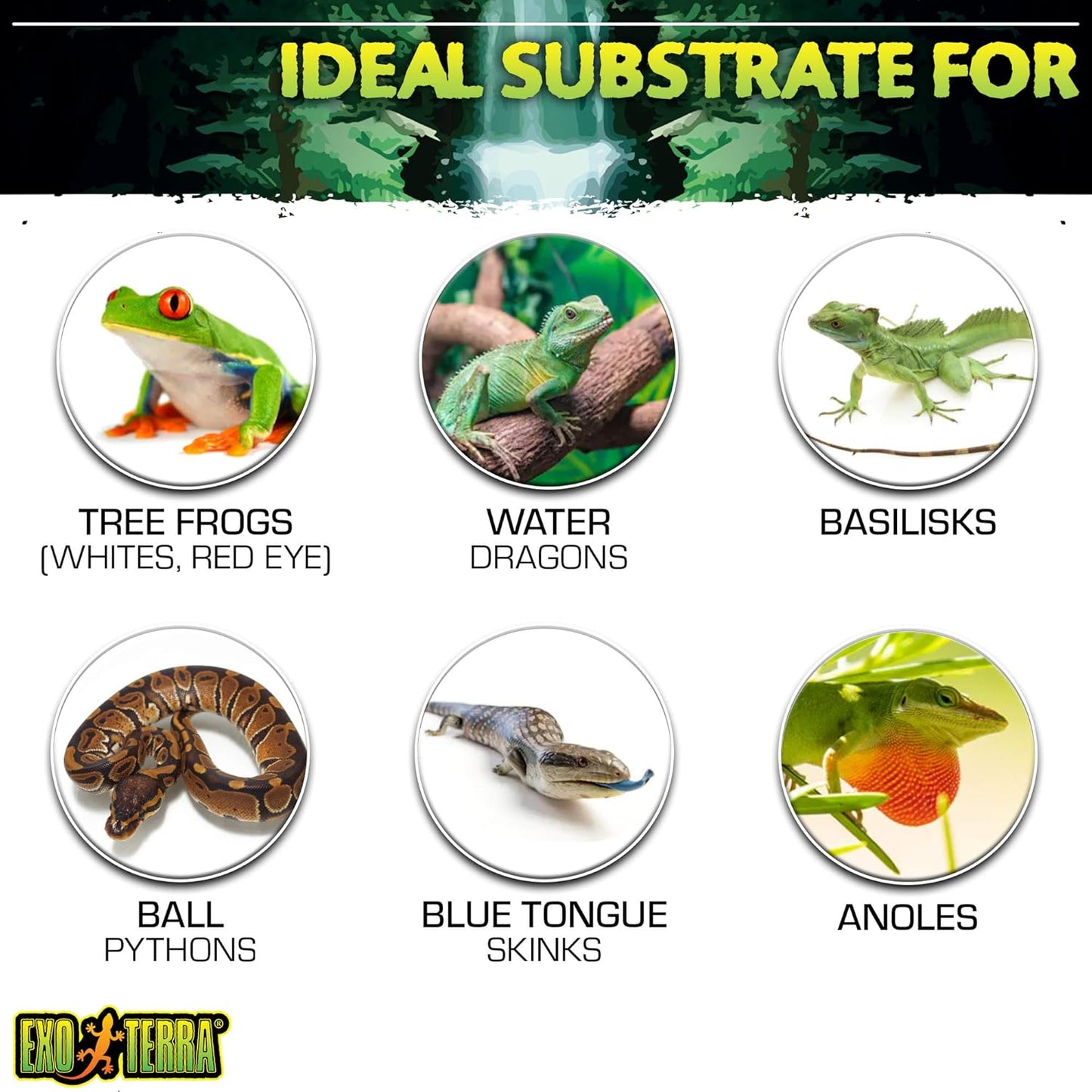 Exo Terra Coco Husk Terrarium Substrate, 8-Quart