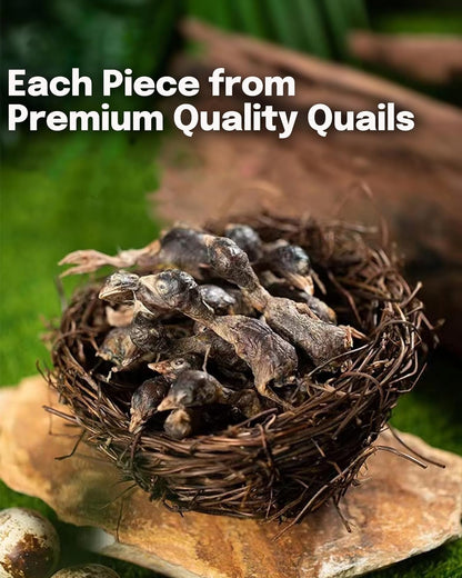 7 OZ Freeze Dried Little Quail Treats for Dogs Cats, High Protein Raw Dog Food, Single Fresh Ingredient Treats, Rawhide Free