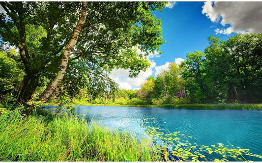 Tranquil Lake Aquarium Background Picturesque Springtime Green Forest Fish Tank Background Stunning Summer Mountain Woodland Terrarium Backgrounds Scenic Lake Blue Sky Reptile Tank Backgrounds 48x24in