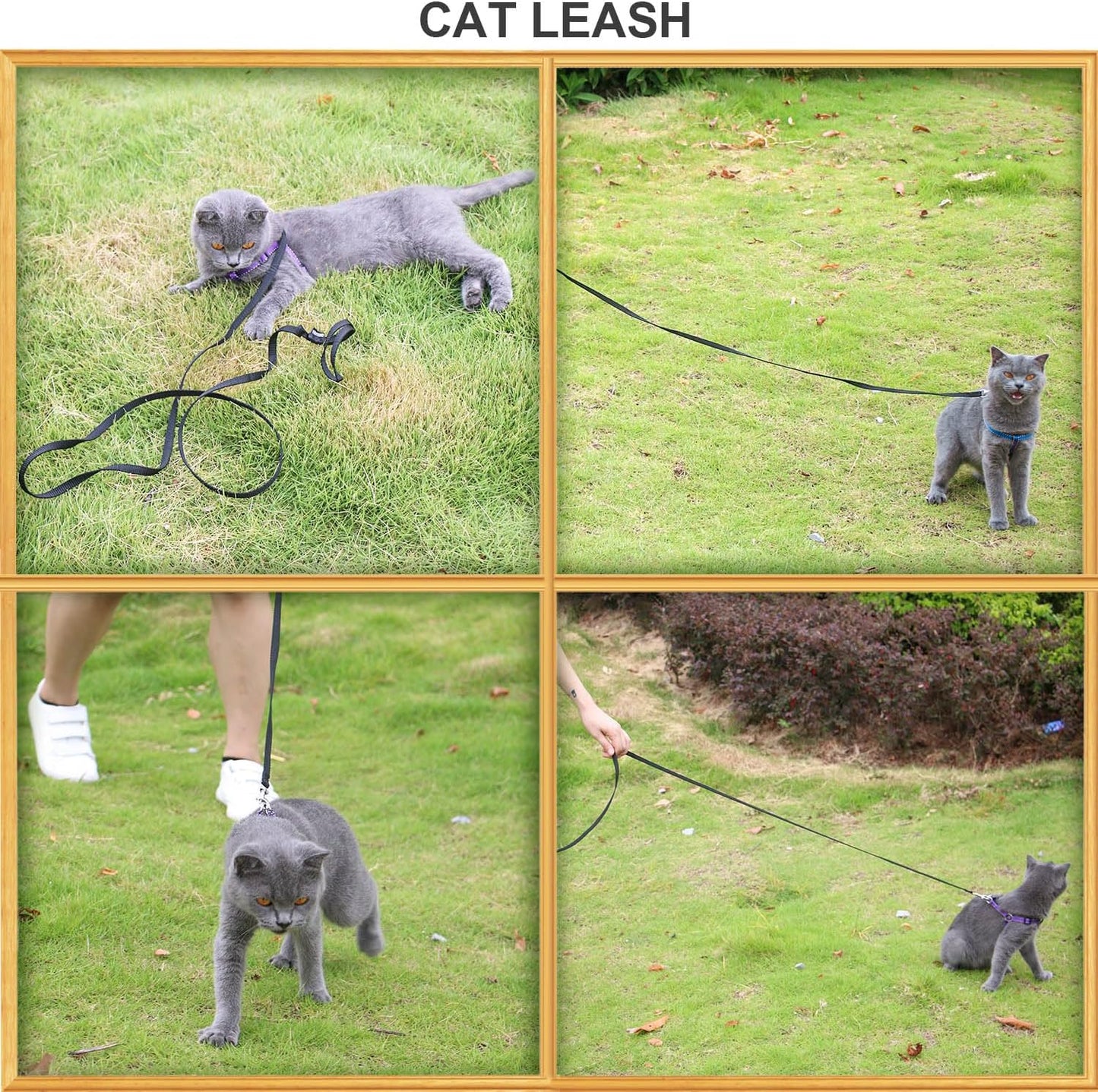 AMAGOOD 6 FT Cat Leash, Strong and Durable Traditional Style Leash with Easy to Use Collar Hook,Cat Lead Great for Cats (3/8 in x 6 ft,Black and Pruple(2-Pack))