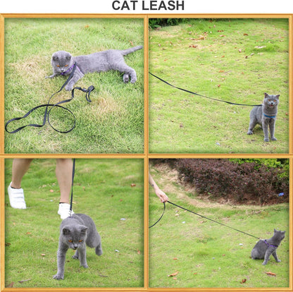 AMAGOOD 6 FT Cat Leash, Strong and Durable Traditional Style Leash with Easy to Use Collar Hook,Cat Lead Great for Cats (3/8 in x 6 ft,Black and Pruple(2-Pack))
