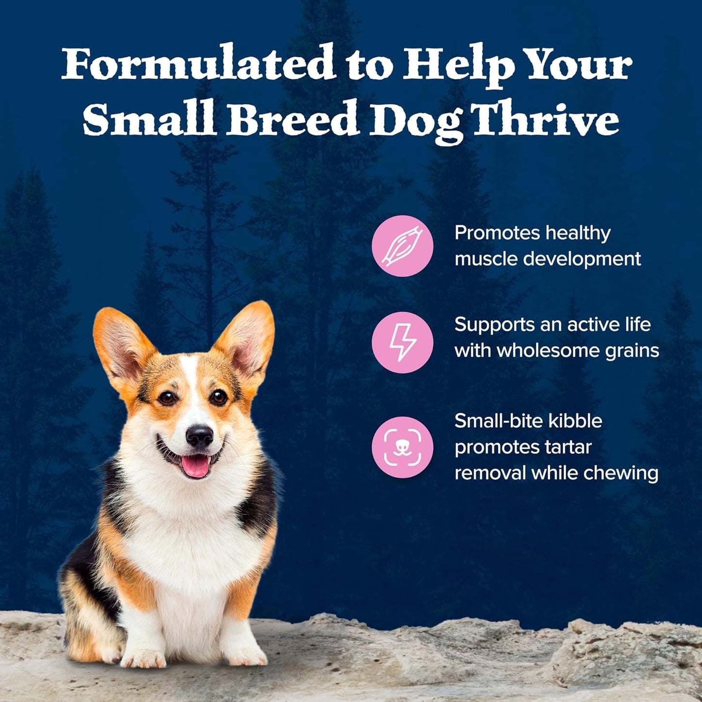 Blue Buffalo Wilderness Natural High-Protein Dry Food for Small Breed Adult Dogs, Chicken Recipe, 13-lb Bag