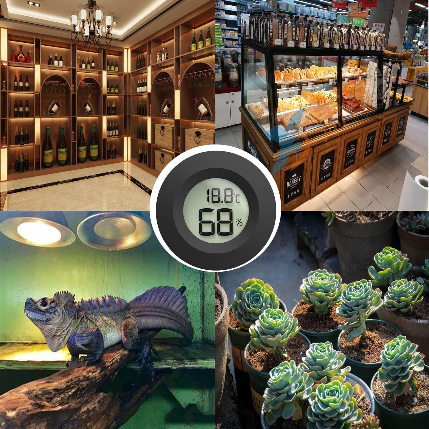 Reptile Tank Accessories, 2pcs Reptile Thermometer and Humidity Gauge, Bearded Dragon Tank Thermometer Humidity Gauge for Jumping Spider, Leopard Gecko, Hermit Crab, Gecko, Ball Python, Lizard.