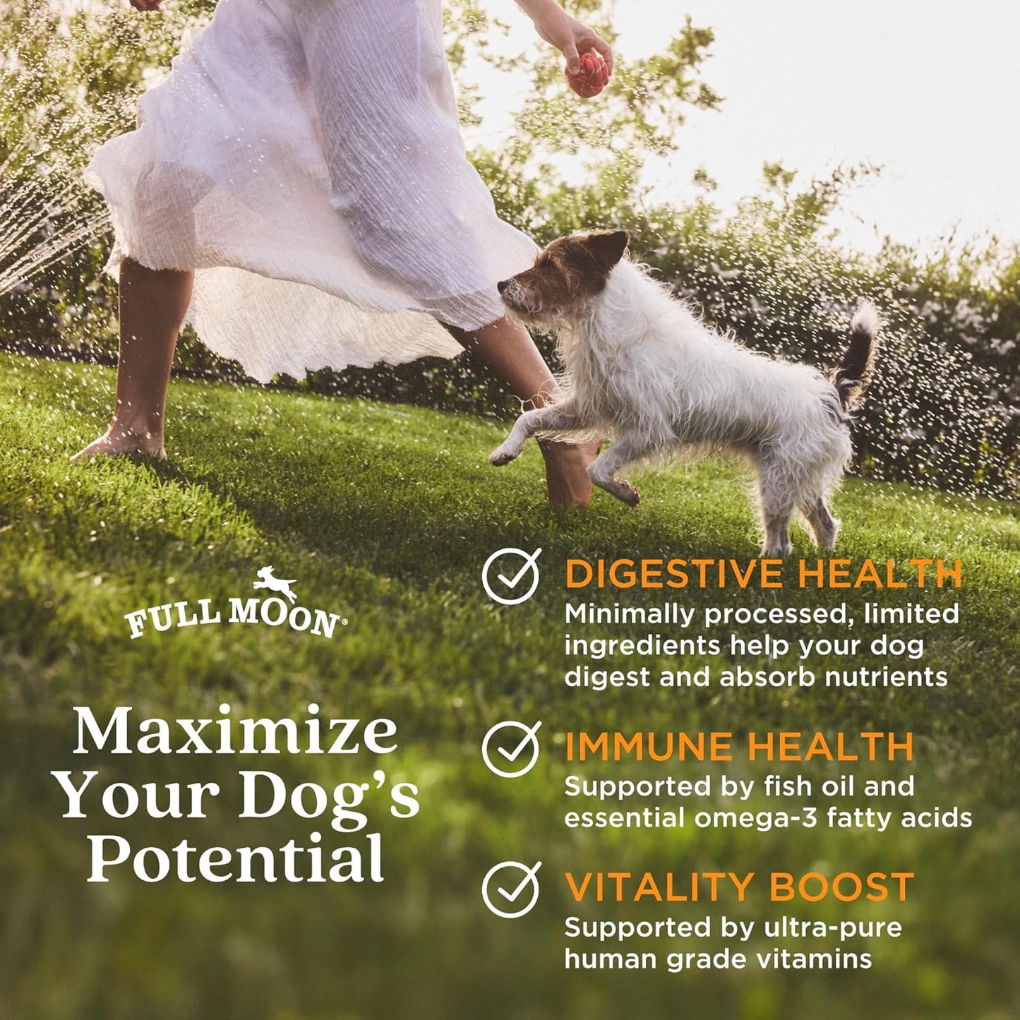 Full Moon Pure Protein Air Dried Dog Food Free Range Chicken Recipe 1lb