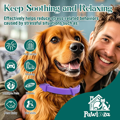 Probiotics for Dogs, Improve Itchy Skin Itchy Ears + Calming Collar for Dogs