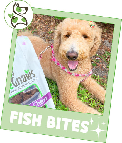 Nature Gnaws Fish Bites for Dogs - Natural Dog Treats – Premium Cod & Salmon Chewy Training Reward – 1 Lb (Pack of 3)