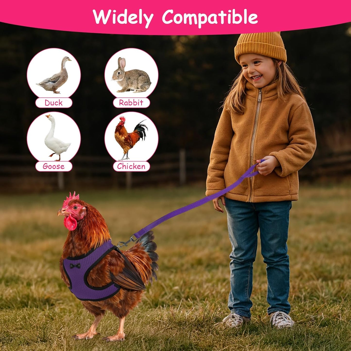 Upgraded Double Adjustable Mesh Breathable Chicken Training Harness, Chicken Harness with Leash Set, Pets Leash for 3-4 Lb Hens Duck Goose Small Pets Training Walking Supplies (4 Colors)
