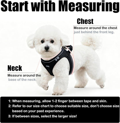 Dog Harness and Leash Set, No Pull Soft Mesh Pet Harness -in Puppy Pet Vest Harnesses for XS,Small,Medium Dogs and Cats Black-M