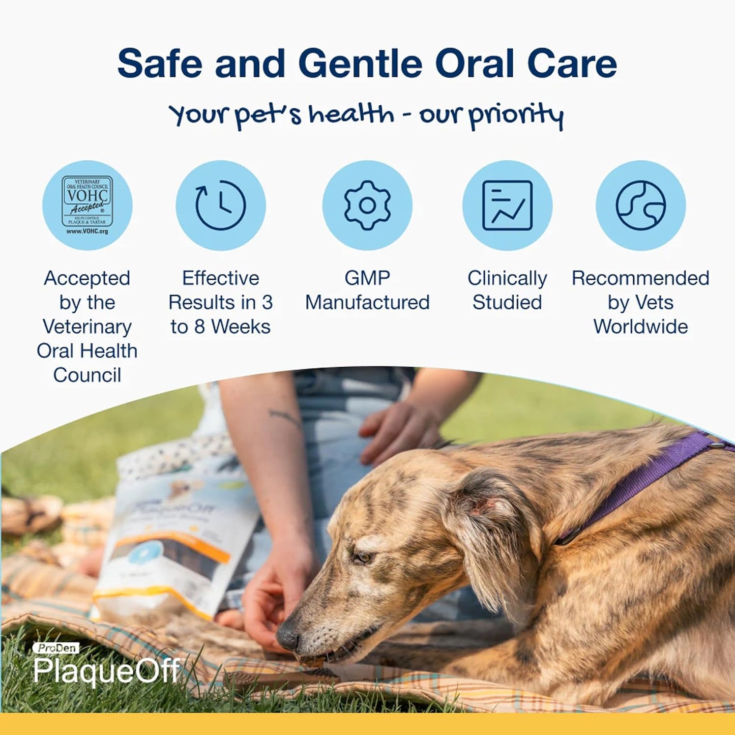ProDen PlaqueOff Sytem Mini Dental Care Bones - Peanut Butter Banana - 12 oz, Brown