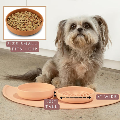 Should We Go? Slow Feeder for Dogs & Cats, The Slowdown Bowl Silicone Slow Eating Mealtime Solution with Modern Lick Mat Design, Reduces Gulping, Fits 1 Cup, 6” Across x 1.25” Tall, Small-Sage