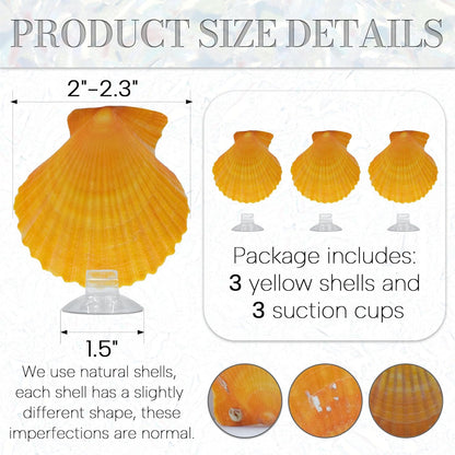 3PCS Betta Hammock Shells, Natural Small Fish Tank Decorations, Betta Fish Tank Accessories, Aquarium Decorations, Aquarium Hideout Habitat for Sleeping Resting Hiding Playing (Yellow)
