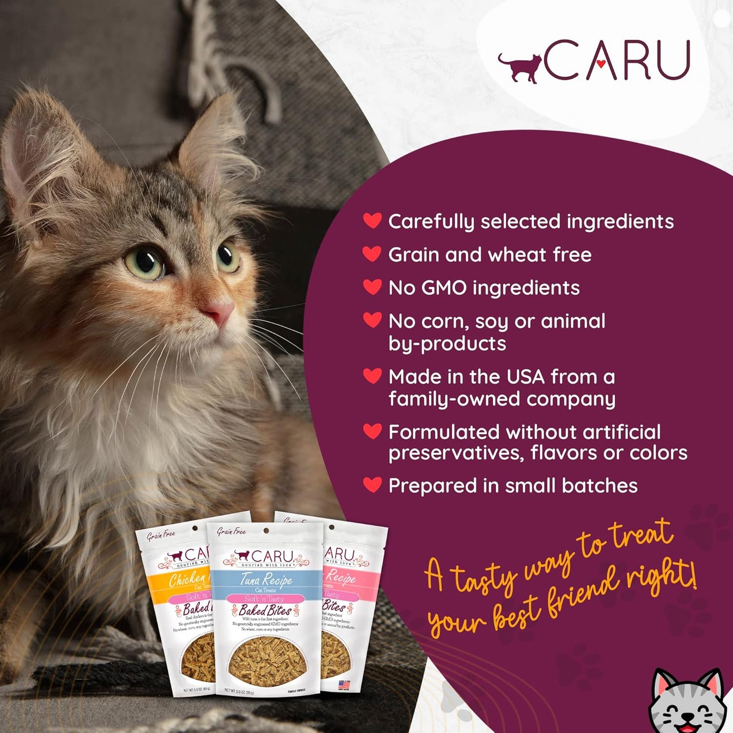 Caru - Soft ‘n Tasty Baked Bites - Salmon Bites Cat Treats - Flavorful All-Natural Treats - 3 oz. (Pack of 2)