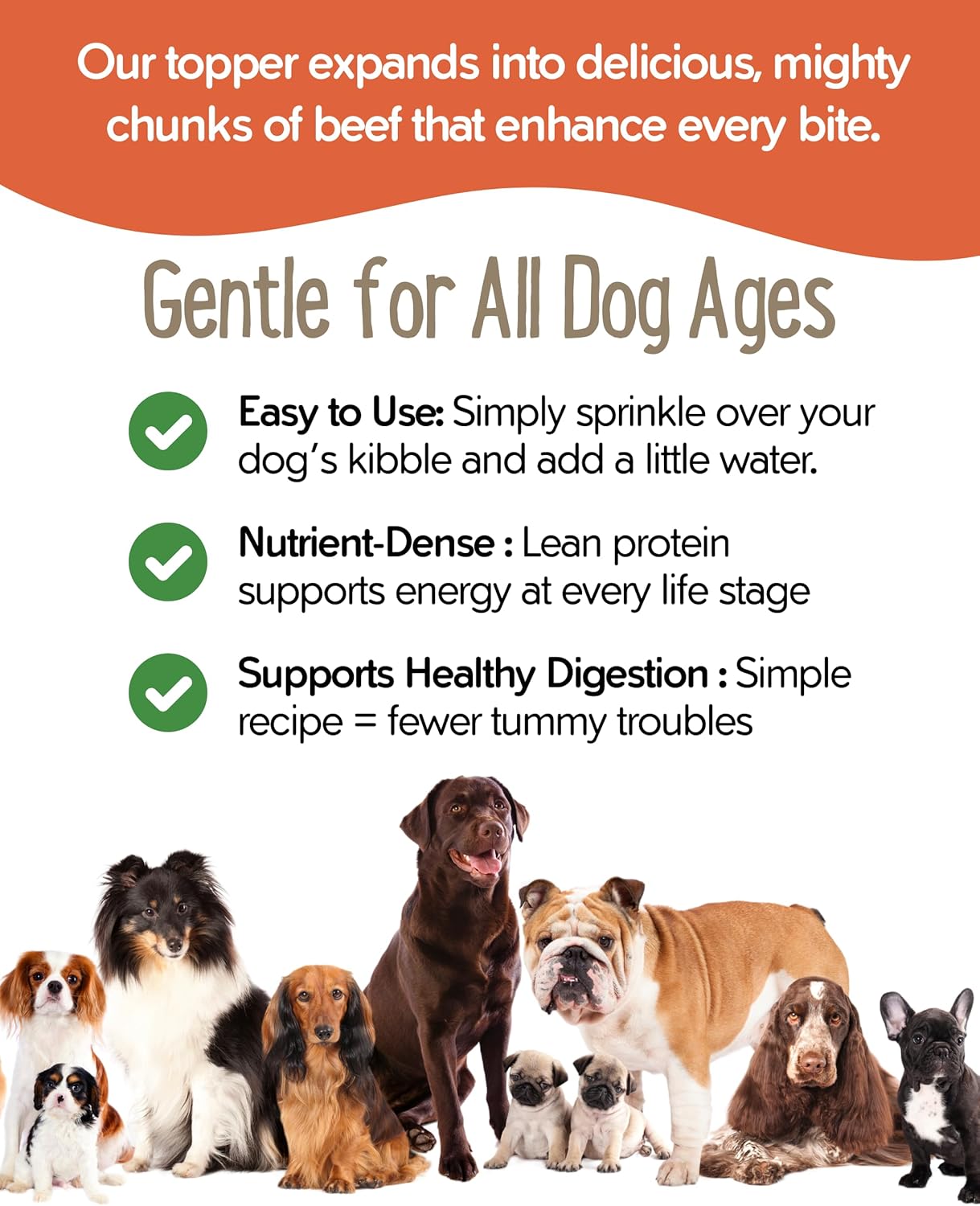 Freeze-Dried Beef Mighty Boost Dog Food Topper | High-Protein Meal Enhancer for Dogs | Grain-Free, All-Natural Pet Food Additive | Made in The USA