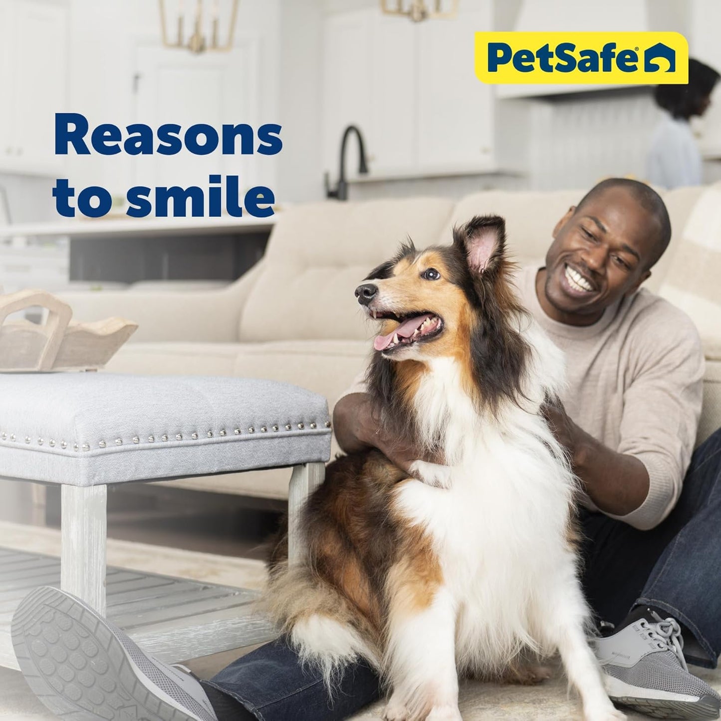 PetSafe Martingale Dog Collar - Safer Than Choke Chains - Gentle Correction for Pulling - Escape Prevention Collar - Durable Nylon - Everyday Walking Gear - 1" - Large - Royal Blue