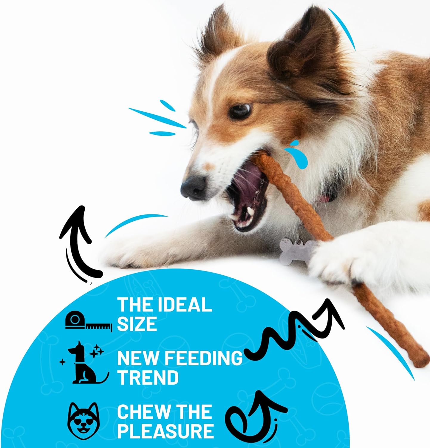 Sitka Farms Beef Sticks - 10 Inch Dog Chews, All Natural Beef Flavor - 50 Count, Premium Crunchy Munchy Sticks with Bully, Collagen and Gelatin