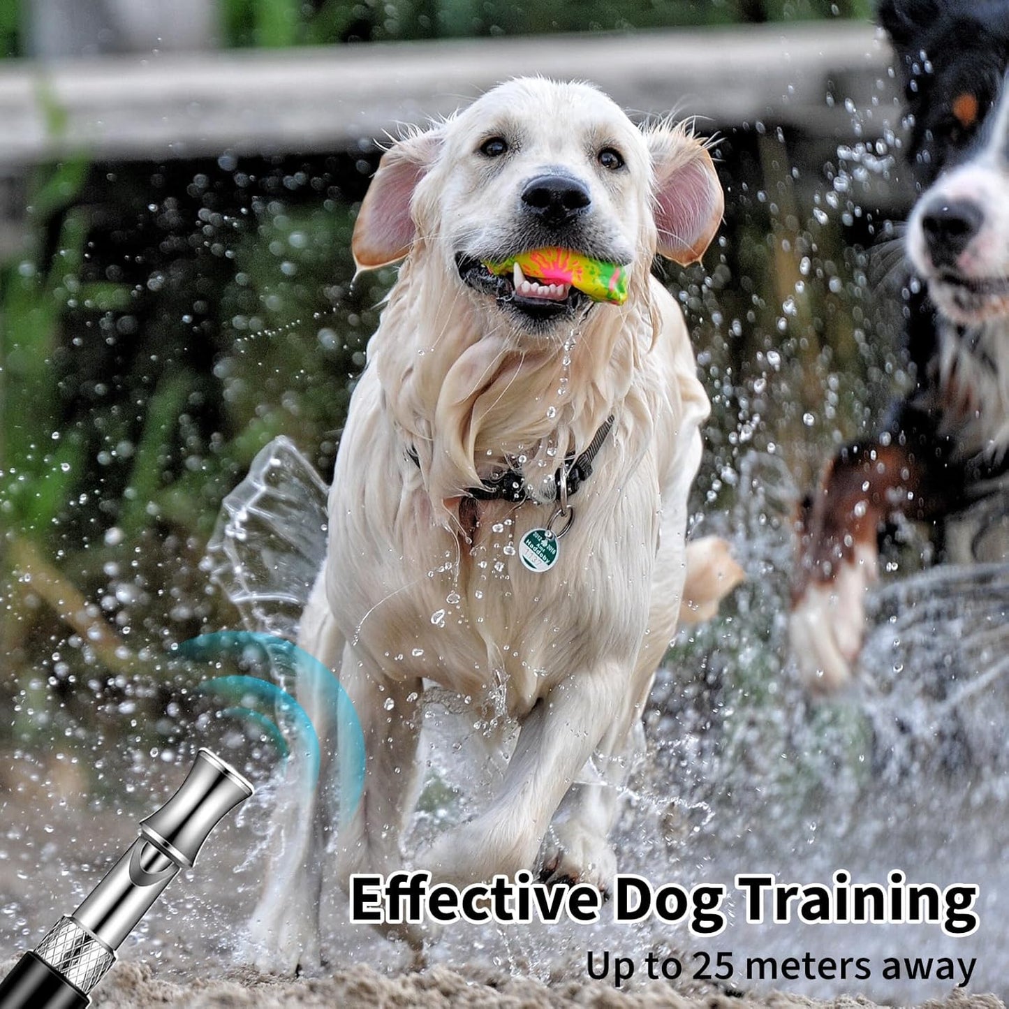 2 PCS Dog Whistle Training, Silent Dog Whistle to Stop Barking, Adjustable Ultrasonic Dogs Training Whistles with Lanyard (Black+White)