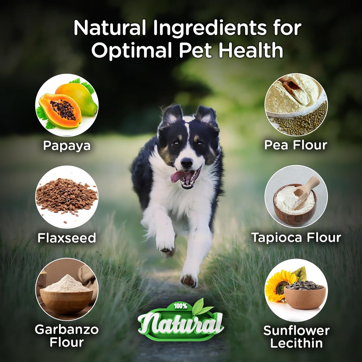 Probiotics for Dogs – Digestive & Immune Support Chews with Probiotics – Natural Gut Health Supplement for Diarrhea, Gas & Allergies (120 Count)