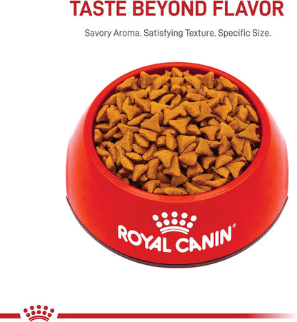 Royal Canin Feline Care Nutrition Hairball Care Adult Dry Cat Food, 14 lb Bag