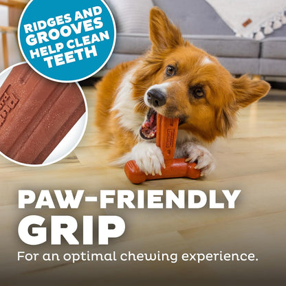 Outward Hound Dogwood Hold & Chew Durable Dog Chew Toy, Beef Scent, Large