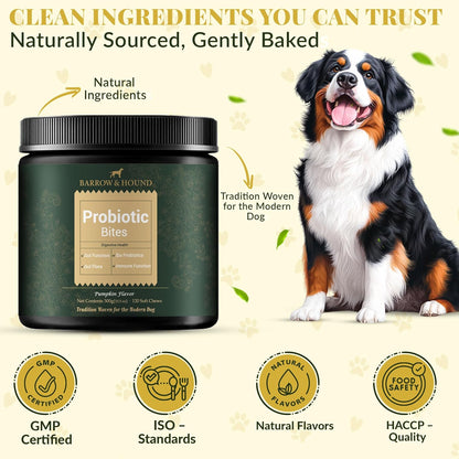 Barrow & Hound Probiotic Bites for Dogs – 6-Strain Probiotics & Pumpkin for Gut Health & Immune Support – 120 Soft Chews – Pumpkin Flavor