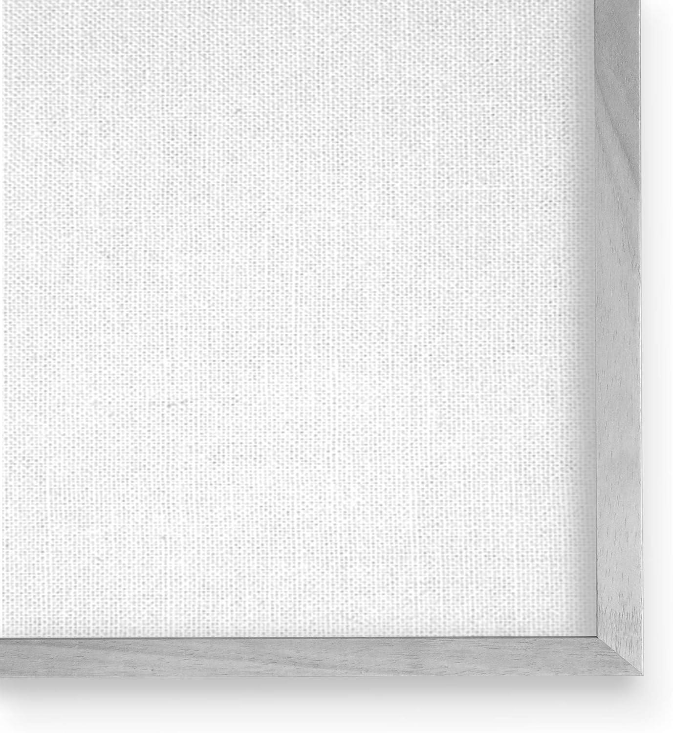 Stupell Industries Aquatic Plant Life Assortment Coral Kelp Sand Dollars