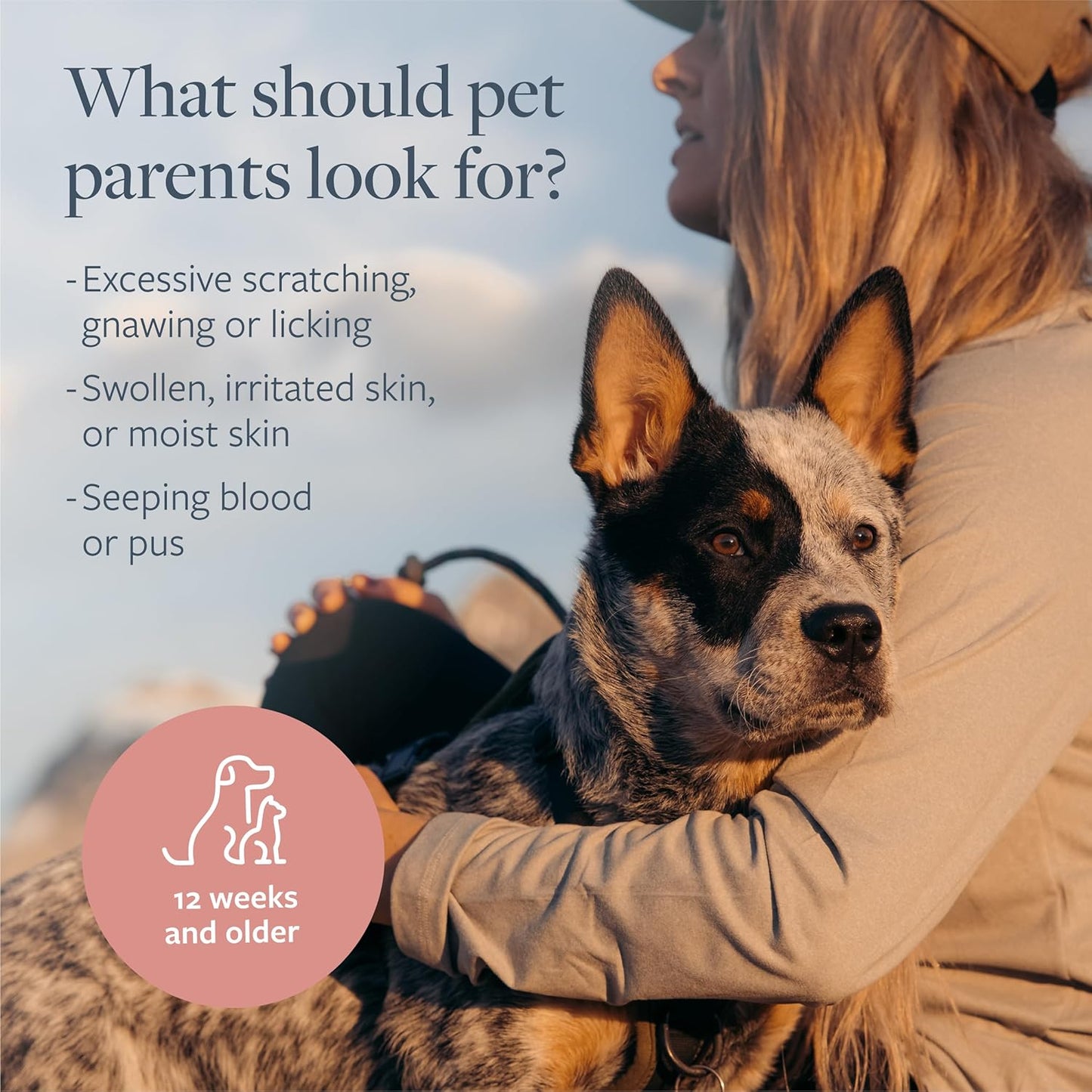 Veterinary Formula Clinical Care Hot Spot & Itch Relief Medicated Spray, 8oz – Easy to Use Spray for Dogs & Cats – Helps Alleviate Sensitive Skin, Scratching, and Licking of Coat (1 Pack)