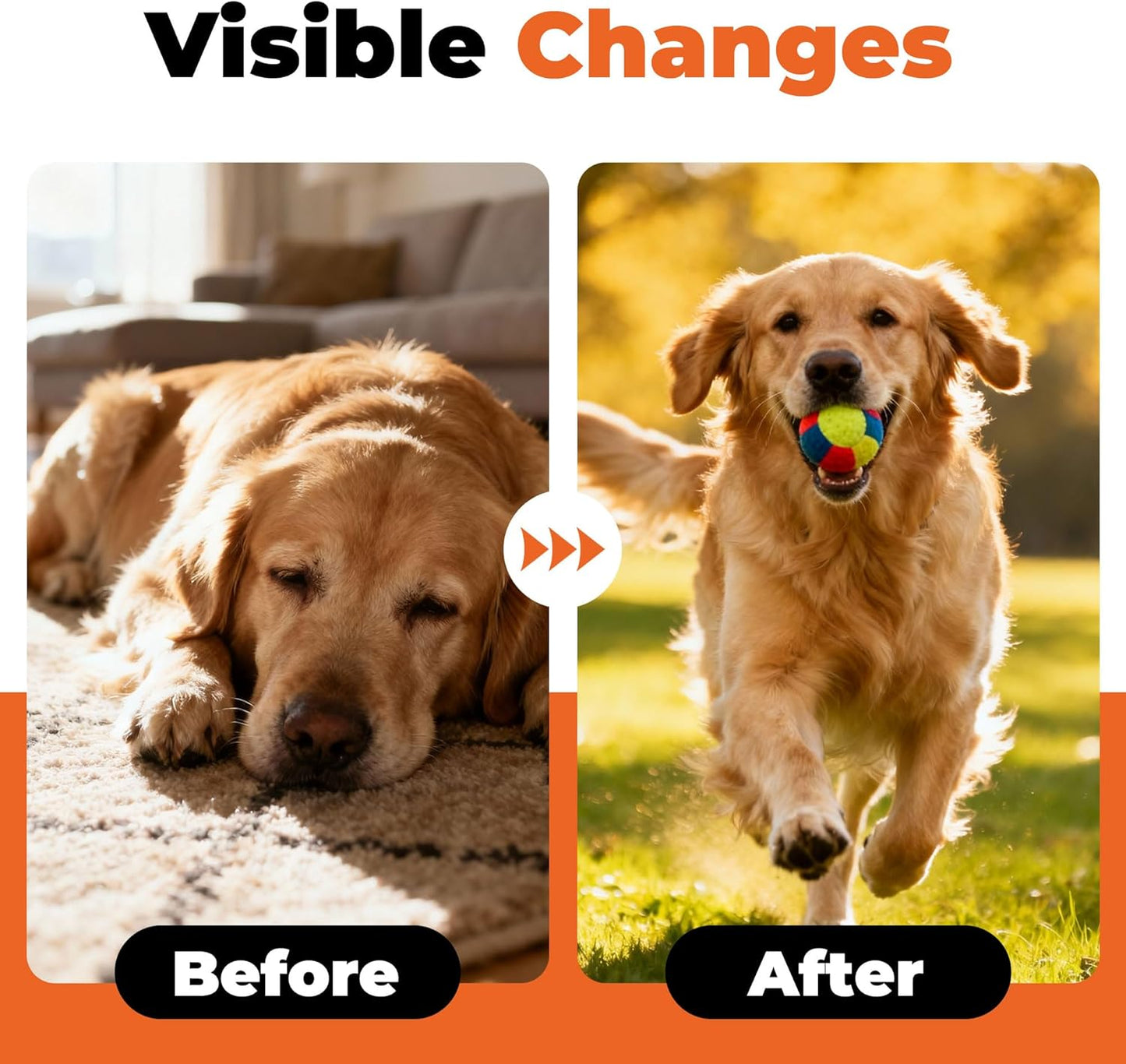 Electrolytes for Dogs – Vet-Formulated Hydration Supplement– Supports Post-Surgery & Illness Recovery– Helps Replenish Fluids & Electrolytes Lost from Diarrhea, Vomiting & Poor Appetite