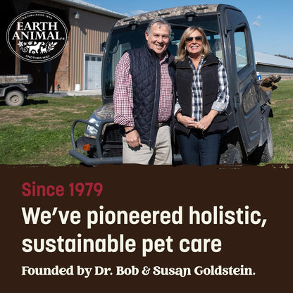 Earth Animal No Hide Stix - Long Lasting Rawhide Free Small Dog Chews Sticks, Beef - 10 Count