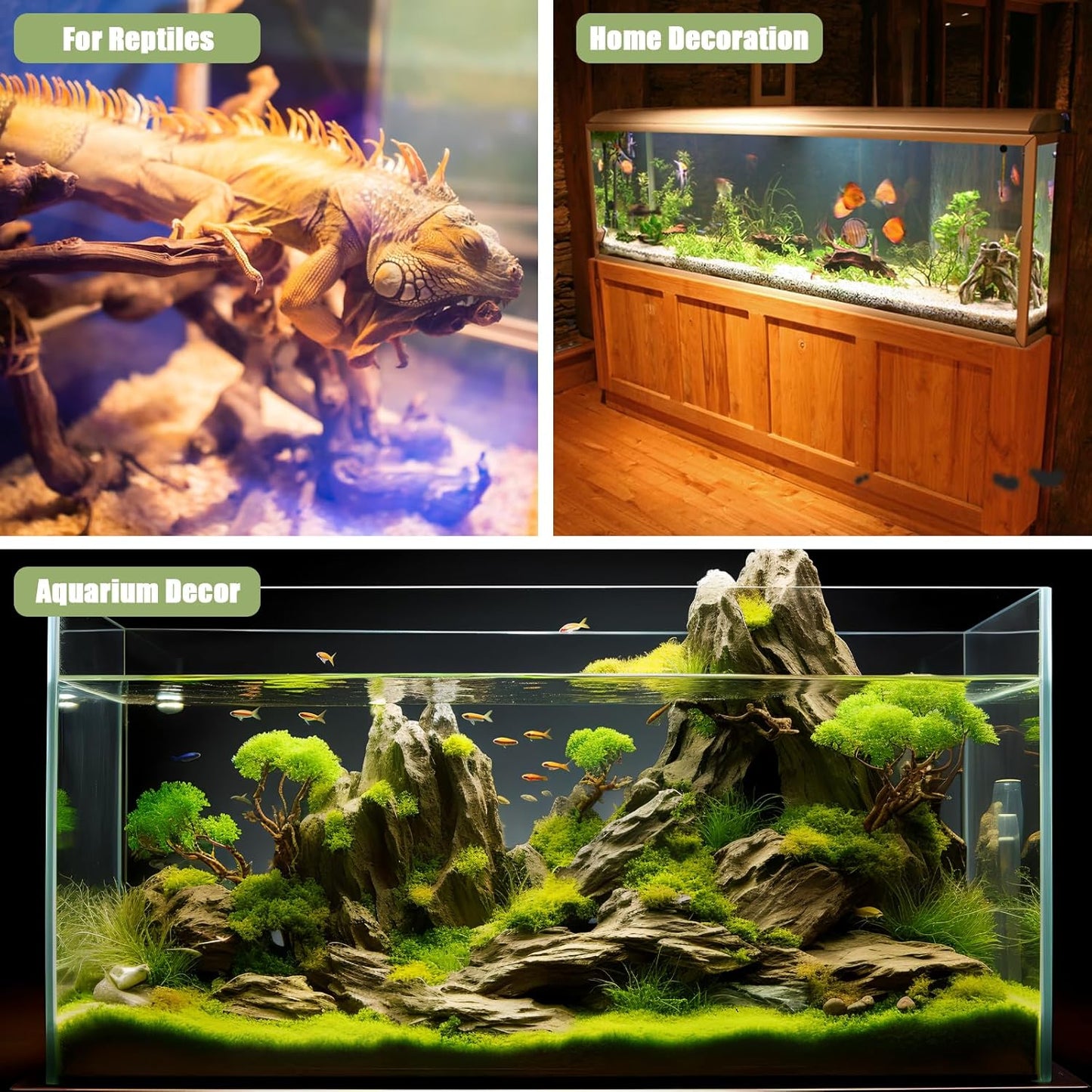 LYPHARD AQUARIUMS Driftwood for Aquarium, 3 Pieces 6-10" Natural Small Drift Wood Fish Tank Assorted Branch Decorations Pieces for Reptile Hide