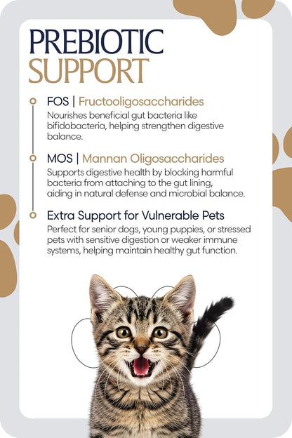 Equinavia GutEase Digestive Support Paste for Dogs & Cats – with Probiotics, Prebiotics, Glutamine, and Pectin – Easy Oral Supplement in 15ml or 30ml Syringe - 1 oz (30 ml) - 1 oz