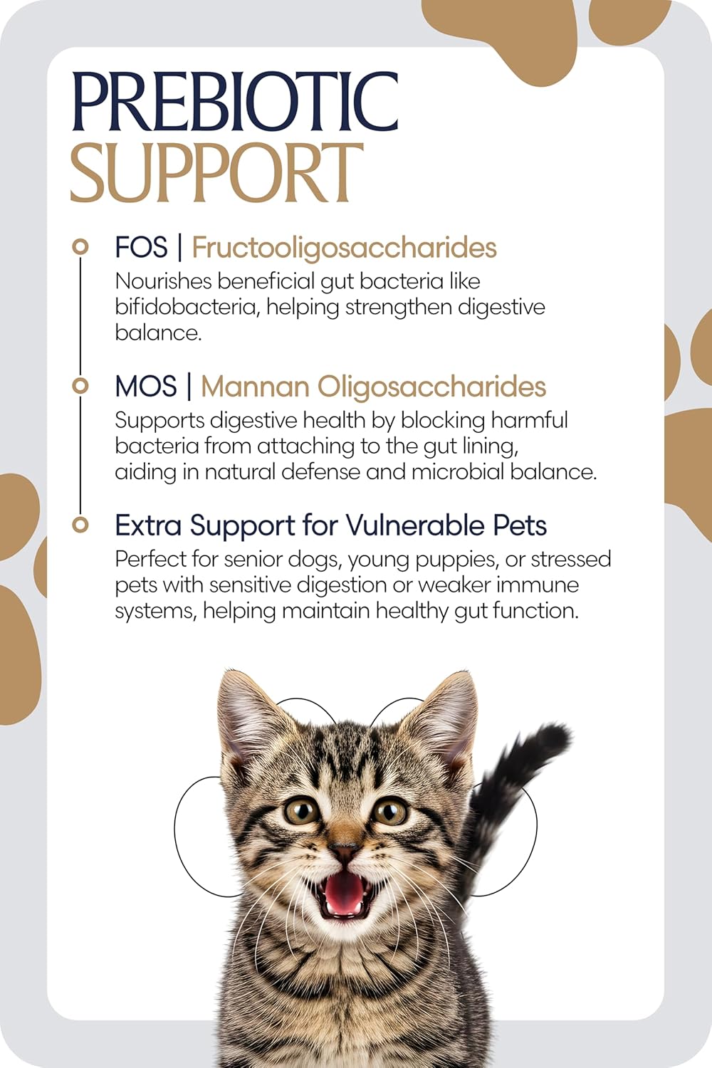 Equinavia GutEase Digestive Support Paste for Dogs & Cats – with Probiotics, Prebiotics, Glutamine, and Pectin – Easy Oral Supplement in 15ml or 30ml Syringe - 1 oz (30 ml) - 1 oz
